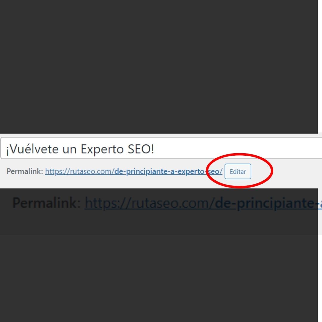 Que hace un experto SEO